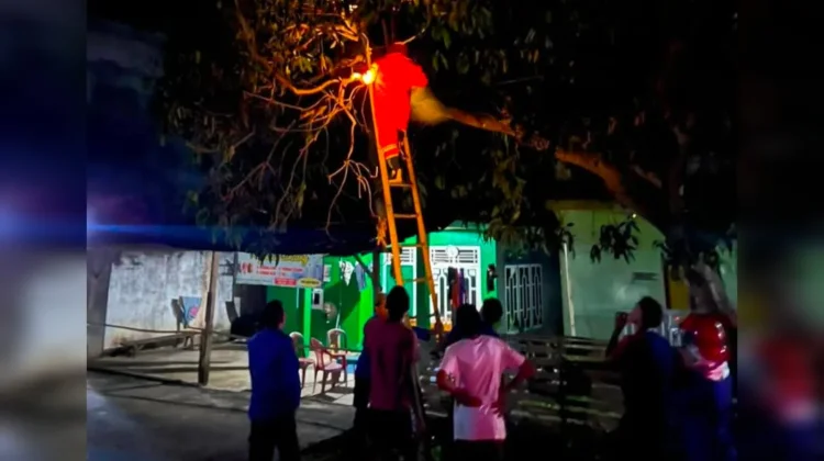 Penyelamatan Darurat Tugas Penting Damkar Selain Memadamkan Api