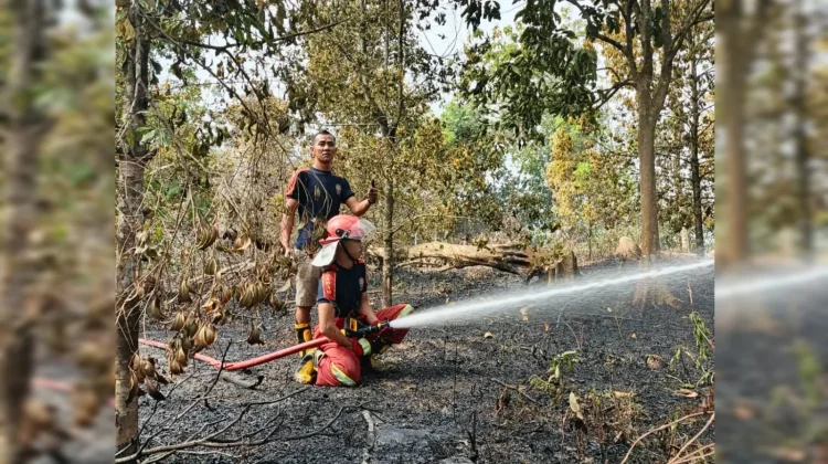 Kebun Cengkeh Warga Terbakar, Damkar dan BPBD Respon Cepat