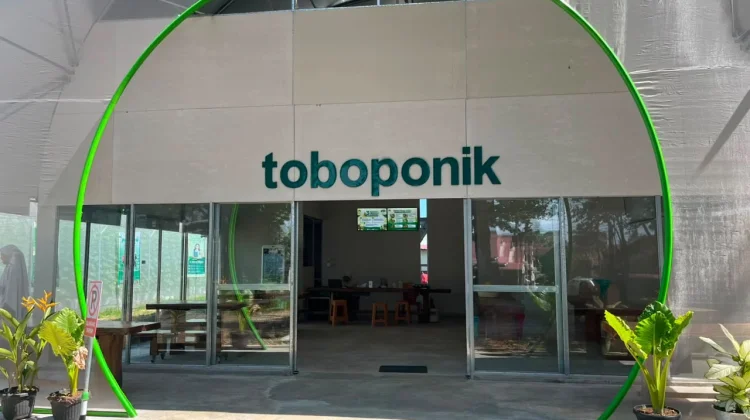 Wisata Toboponik Jenggalu Sajikan Pengalaman Edukasi Pertanian Modern