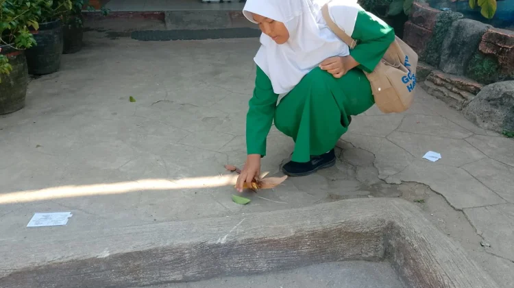 Operasi Semut SMPN 11 Kota Bengkulu, Langkah Kecil Menumbuhkan Cinta Lingkungan