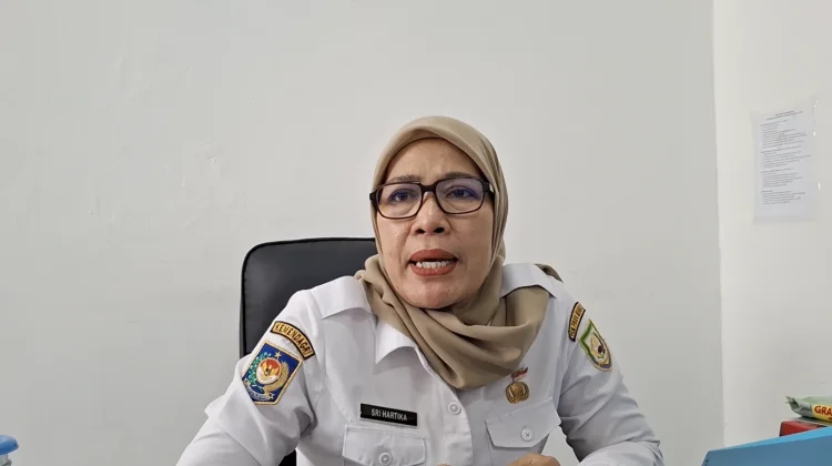 Sebagian Diterima Sekolah Rakyat, 24 PPPK Paruh Waktu Bengkulu Mengundurkan Diri