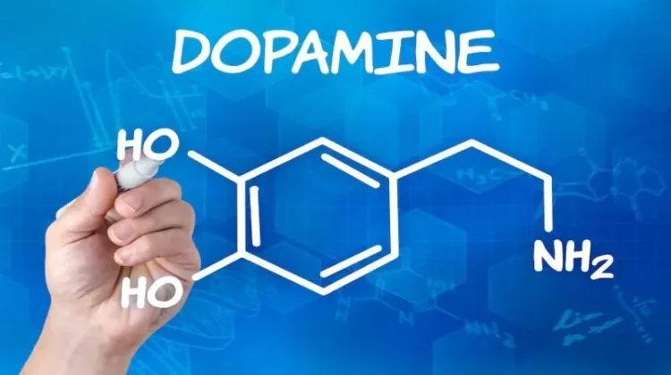 Dopamine Menu yang Diklaim Bantu Kurangi Stres