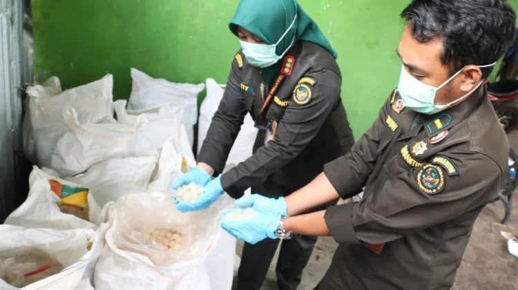 Karantina Bengkulu Pastikan 22 Ton Kolang-Kaling Lolos Ekspor ke Vietnam