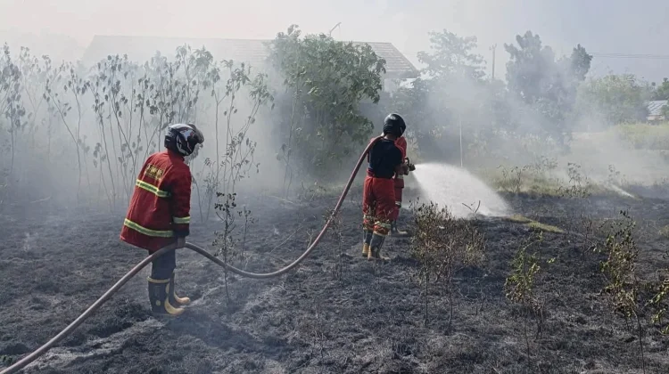 Sepekan, 5 Karhutla Terjadi di Kaur