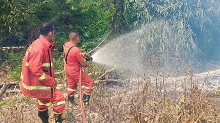Kebakaran Lahan di Kaur Selatan Kembali Terjadi