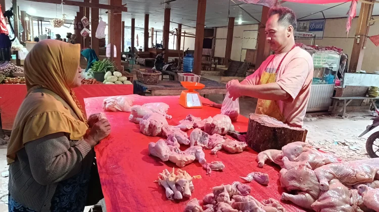 Harga Daging Ayam Potong di Bintuhan Masih Rp45.000/kg
