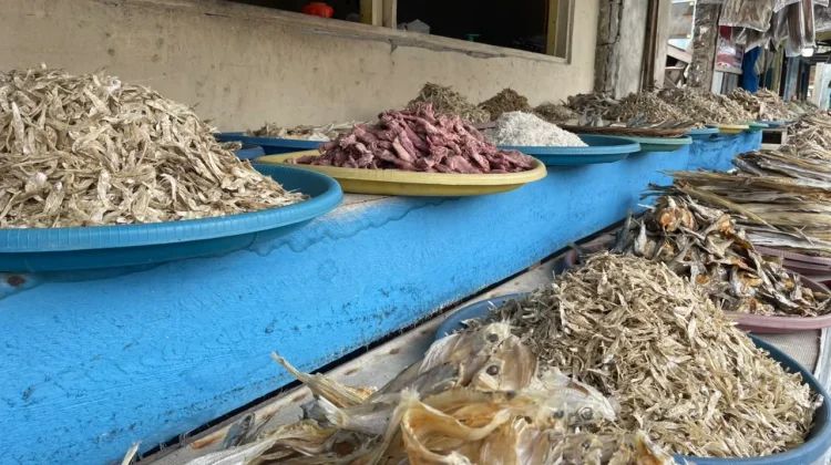 Solar Langka, Harga Ikan Asin di Pantai Malabero Naik