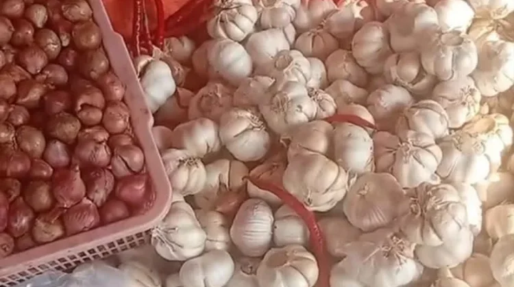 Harga Bawang di Pasar Panorama Bengkulu Turun ke Rp48 Ribu per Kilogram