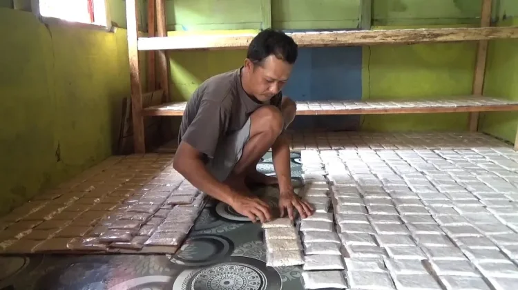 Harga Kacang kedelai Sedikit Alami Penurunan