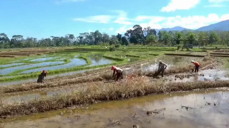 Delapan Daerah Irigasi di Bengkulu Utara Akan Direhabilitasi