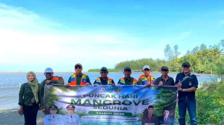 Pemkab Seluma Tanam Mangrove, Ajak Masyarakat Lestarikan Pesisir