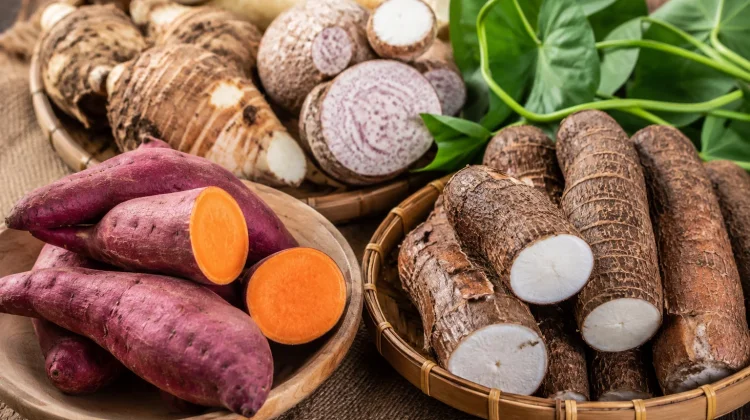 Ubi dan Ubi Jalar, ternyata Bukan Makanan yang Sama