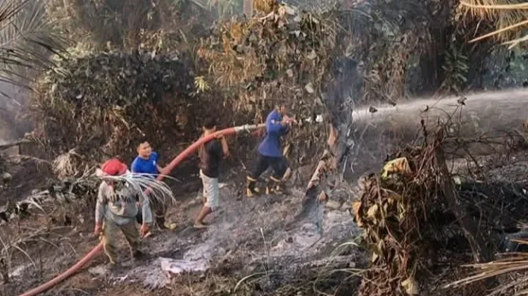 Kebakaran Lahan di Kabupaten Kaur Kembali Tejadi