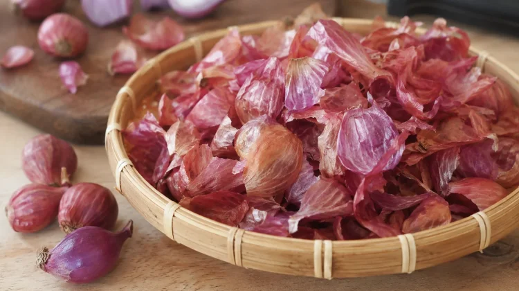 Jangan Langsung Membuang Kulit Bawang Merah karena Masih Bisa Dimanfaatkan