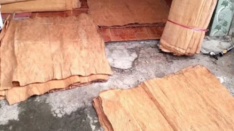Kulit Lantung jadi Solusi Masa Depan Kebutuhan Serat Industri