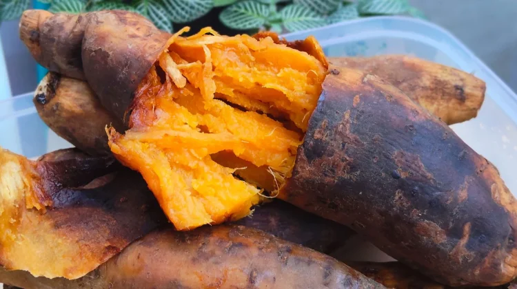 Benarkah Ubi Cilembu Tidak Cocok untuk Penderita Diabetes?