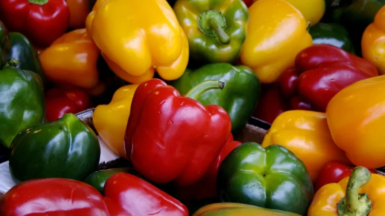 Mengapa Paprika Memiliki Banyak Warna? Ini Penjelasan dan Manfaatnya