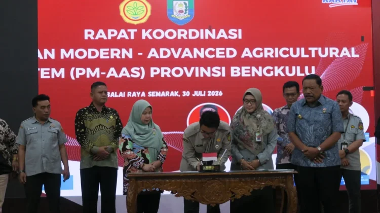 Pemprov Bengkulu akan Masifkan Pertanian Moderen, Target 8.214 Hektar