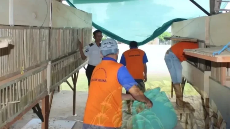 Rutan Manna Bekali WBP Dengan Budidaya Ayam Kampung Super