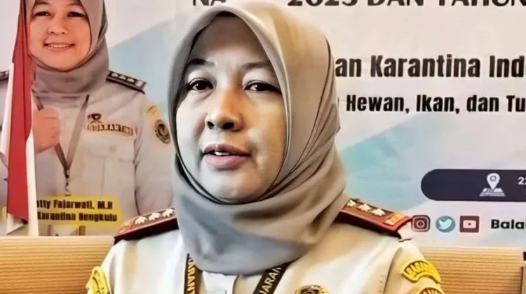 Pengusaha di Rejang Lebong Rutin Ekspor Komoditas Kolang-Kaling