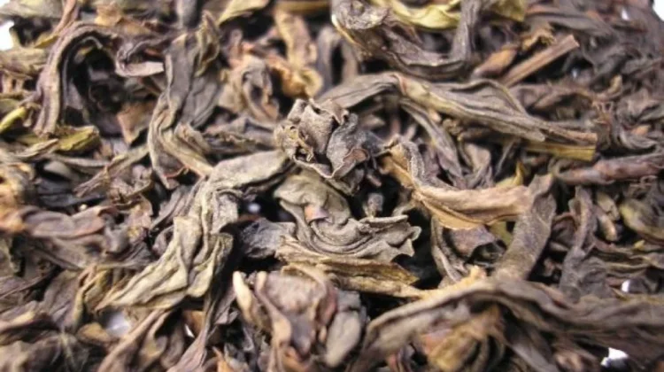 Da Hong Pao: Teh Legendaris China yang Harganya Melebihi Emas