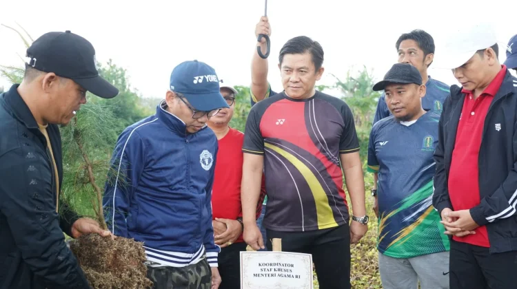IAIN Curup Tanam Bibit Pinus untuk Mewujudkan Kampus Hijau
