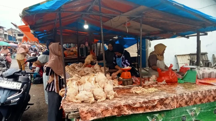 Harga Daging Ayam Mahal, Dispedagrin Bengkulu Siapkan Pengawasan