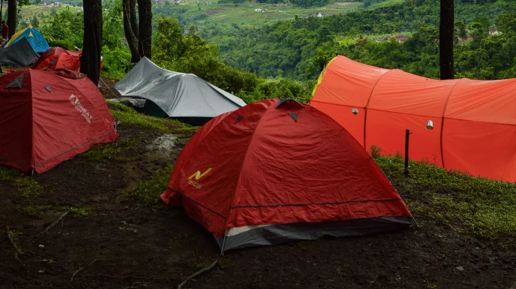 Tips Camping Aman, Hemat, dan Tetap Terhibur