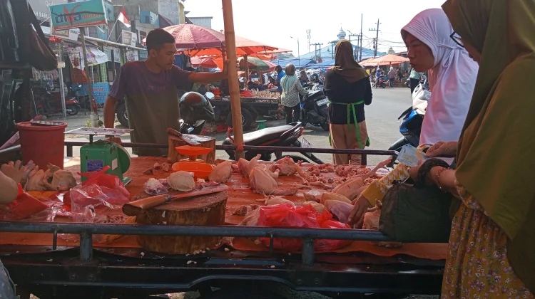 Harga Ayam Potong di Kota Bengkulu Terus Naik