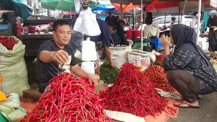 Pasokan Berkurang, Harga Cabai di Pasar Panorama Kota Bengkulu Masih Tinggi
