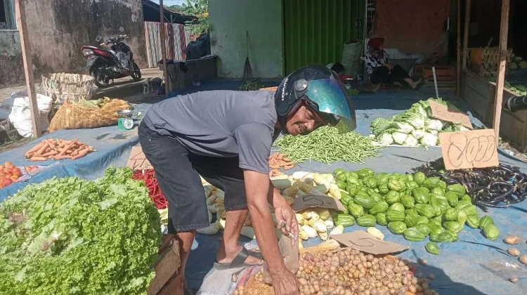Harga Sayuran di Pasar Panorama Masih Tinggi, Pedagang Sebut Dipicu Permintaan MBG