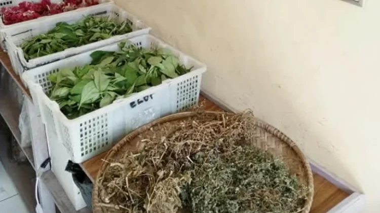 Jamu Kito, Sebuah Upaya Hidupkan Kembali Tradisi Minuman Tradisional