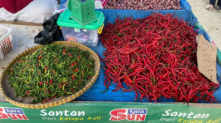 Pasokan Melimpah, Harga Cabai Merah di Pasar Pulau Baai Turun