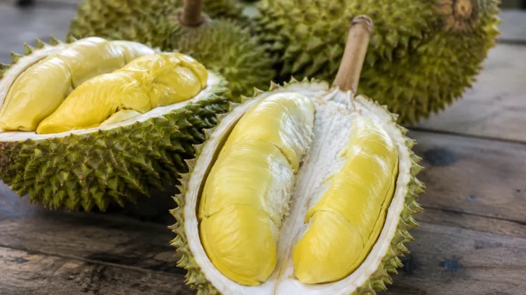 Cara Mengolah Durian Menjadi Beragam Makanan Rumahan