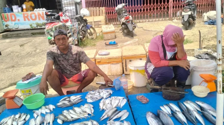 Harga Ikan Laut Lebih Mahal, Ikan Tawar Jadi Pilihan Warga