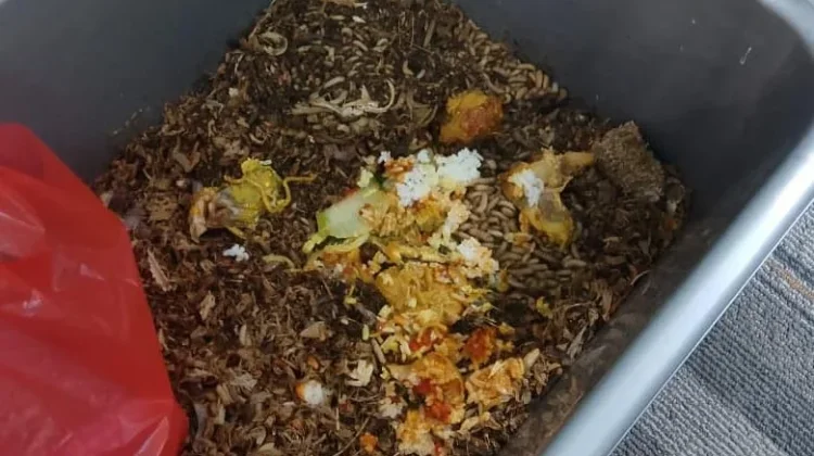 Dari Sampah Organik Jadi Cuan, Warga Sukamerindu Didorong Budidayakan Maggot