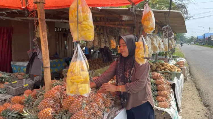 Pasokan Nanas Melimpah di Pasar Bengkulu, Harga Masih Tinggi