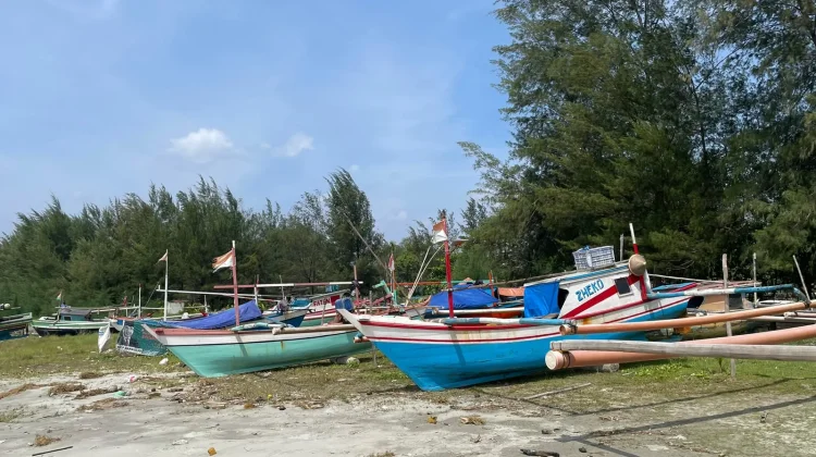 Cuaca Tak Menentu, Pendapatan Nelayan Tradisional Bengkulu Merosot