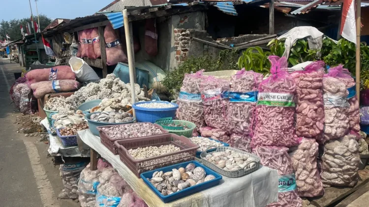 Kerajinan Kerang Bengkulu Jadi Cenderamata Bernilai Ekonomi