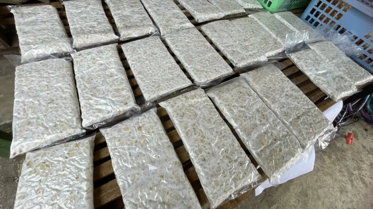 Harga Kedelai Naik, Produsen Tahu-Tempe Bengkulu Kecilkan Ukuran
