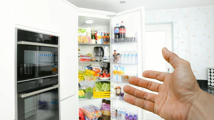 Menyimpan Bahan Makanan dengan Benar agar Tetap Segar Lebih Lama