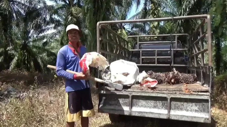 Pemerintah Kabupaten Bengkulu Utara Terus Dorong Kepemilikan STDB