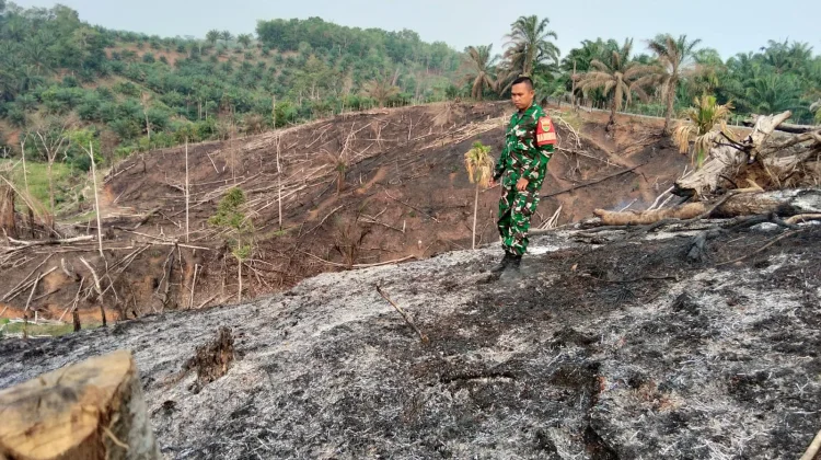 Babinsa Koramil 423-05/Kerkap Pantau Bekas Kebakaran Lahan Kebun