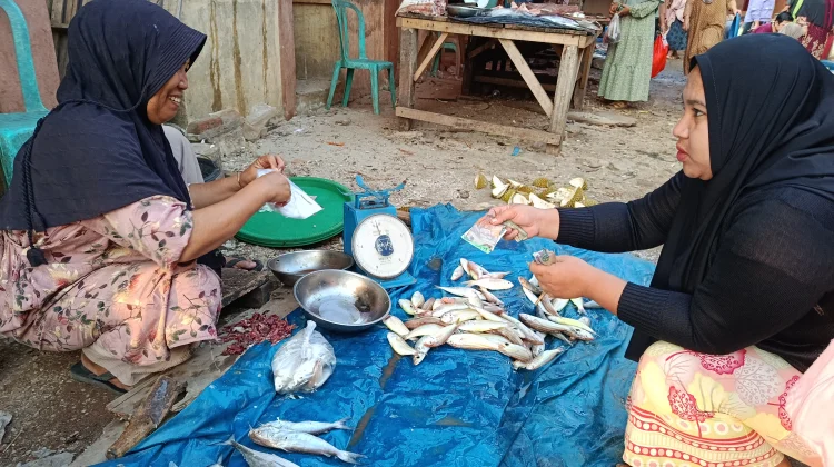 Gelombang Tinggi, Pasokan Ikan Laut Dipasar Bintuhan Berkurang Harga Melonjak