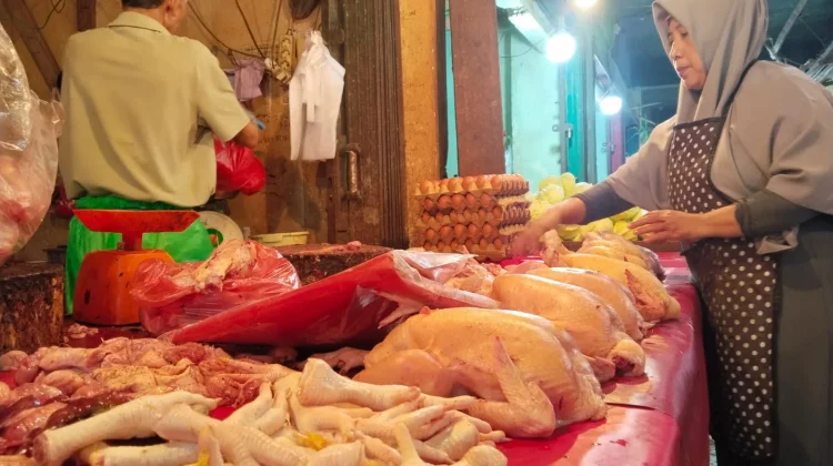 Harga Ayam Potong di Pasar Minggu Bengkulu Bertahan Rp48 Ribu per Kilogram