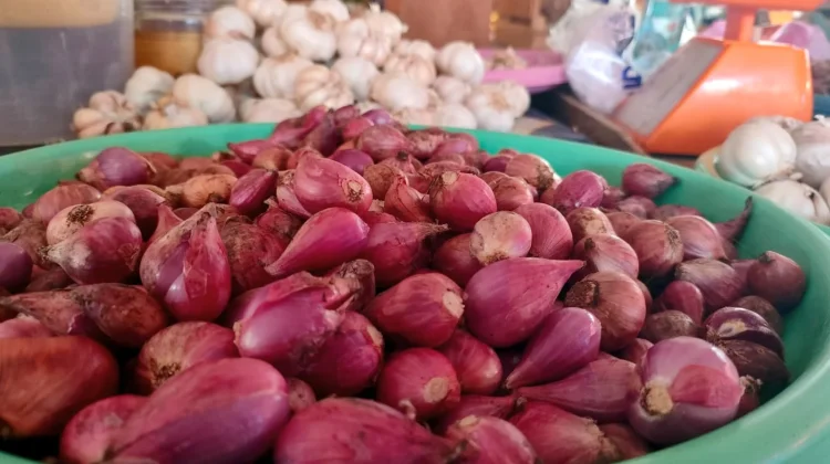 Harga Bawang Merah Turun, sementara Bawang Putih Masih Stabil
