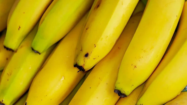 Benarkah Pisang dan Jeruk Tidak Baik Dikonsumsi Penderita Maag?