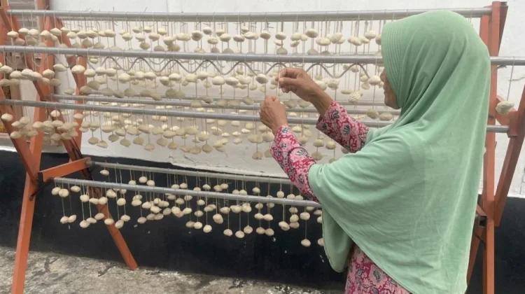 Selama 25 Tahun Bertahan, Isnaini Pertahankan Pembuatan Ragi Tapai
