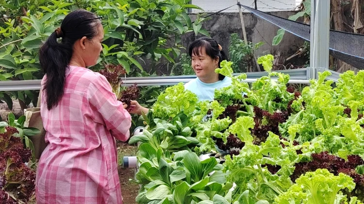 Dosen Unihaz Dampingi Penyandang Disabilitas Budidaya Sayuran Hidroponik