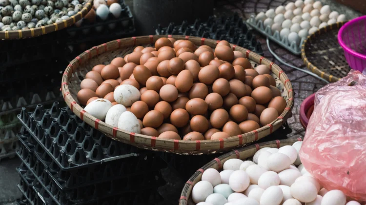 Harga Beras dan Telur di Pasar Panorama Bengkulu Mulai Mengalami Kenaikan